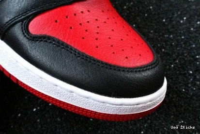 Air Rebel 280 1 SmartChoice Jordan 1022